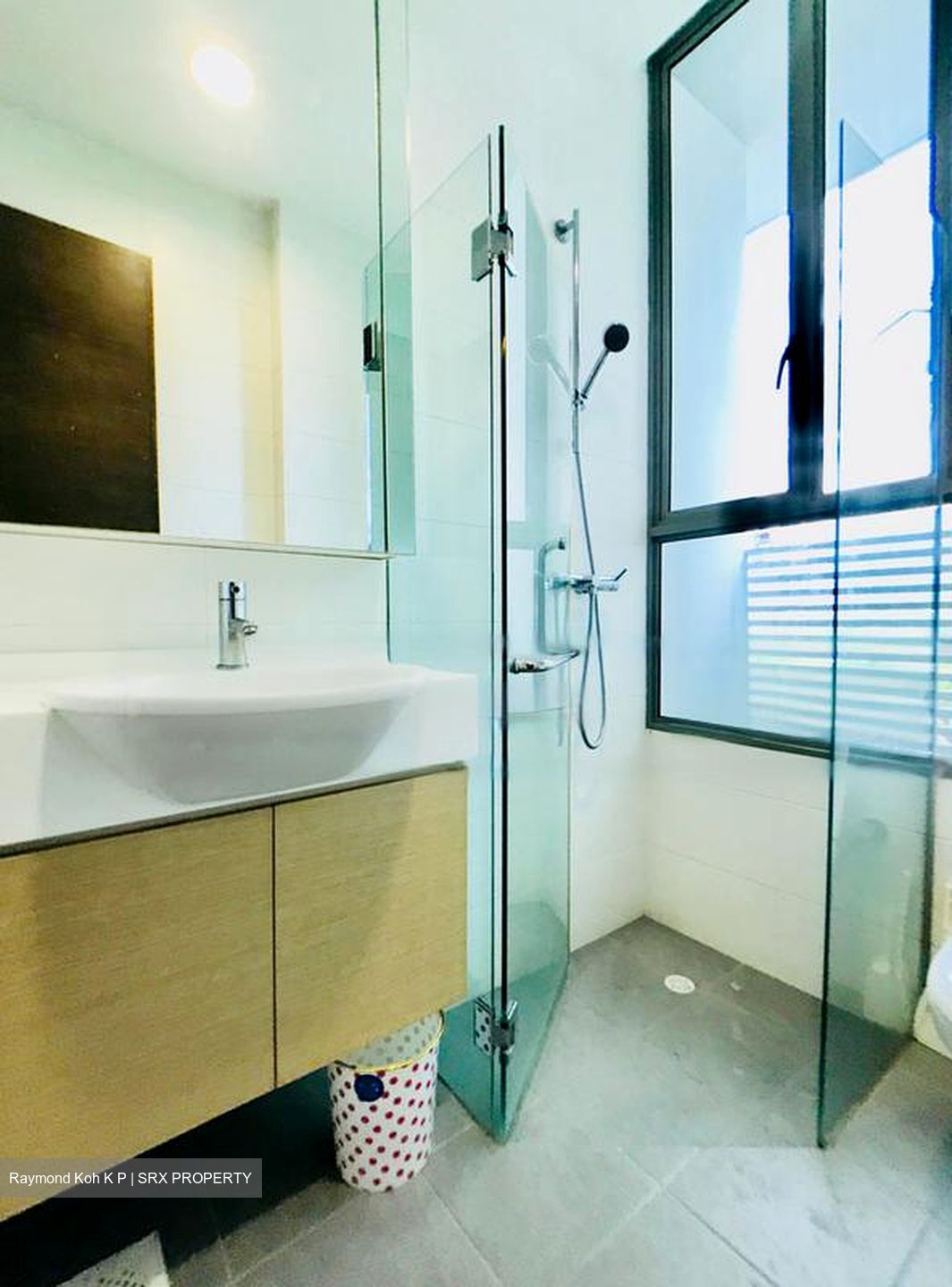 Suffolk Premier (D11), Apartment #454783971